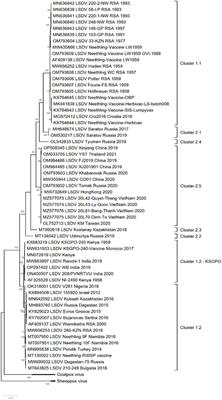 Lumpy skin disease: history, current understanding and research gaps in the context of recent geographic expansion